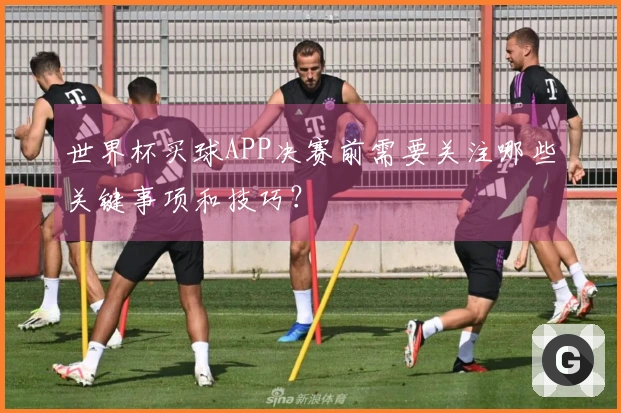 世界杯买球APP决赛前需要关注哪些关键事项和技巧?
