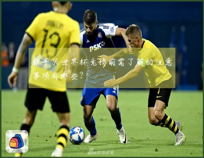 新手买世界杯竞猜前需了解的注意事项有哪些?