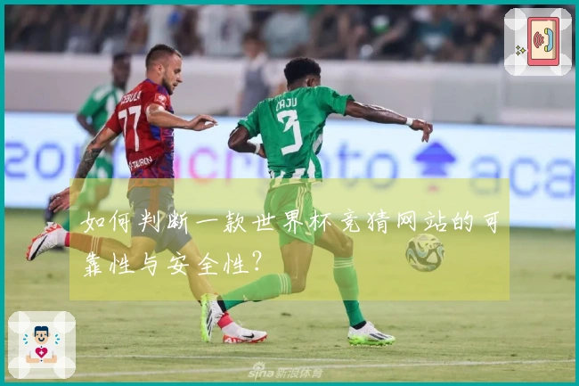如何判断一款世界杯竞猜网站的可靠性与安全性？