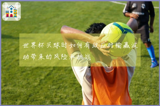 世界杯买球时如何有效应对输赢波动带来的风险和挑战