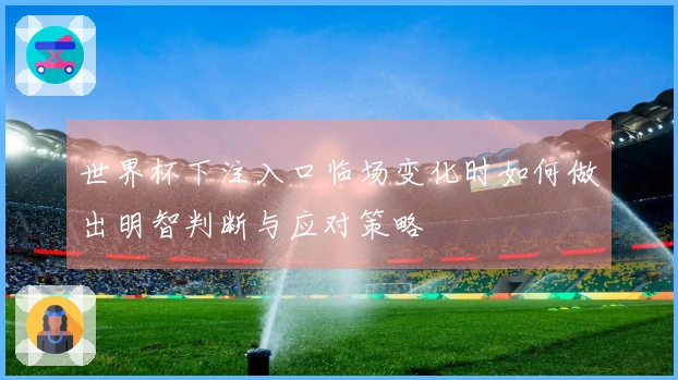 世界杯下注入口临场变化时如何做出明智判断与应对策略
