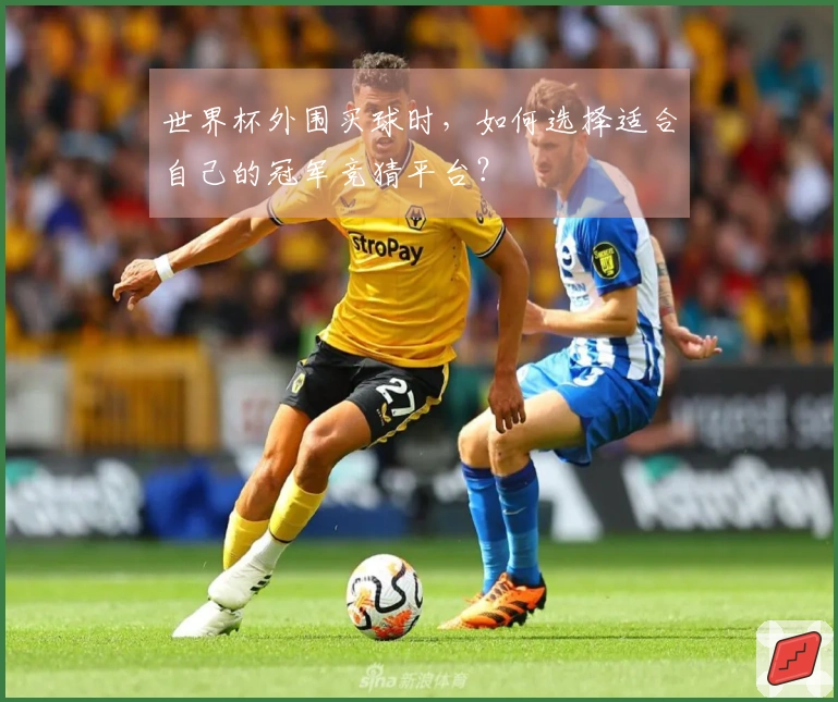 世界杯外围买球时，如何选择适合自己的冠军竞猜平台？