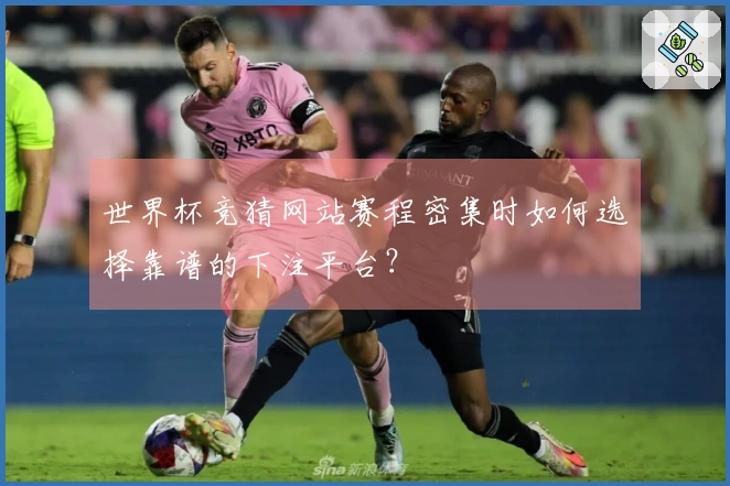 世界杯竞猜网站赛程密集时如何选择靠谱的下注平台?