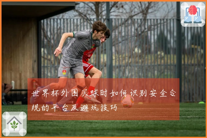 世界杯外围买球时如何识别安全合规的平台及避坑技巧