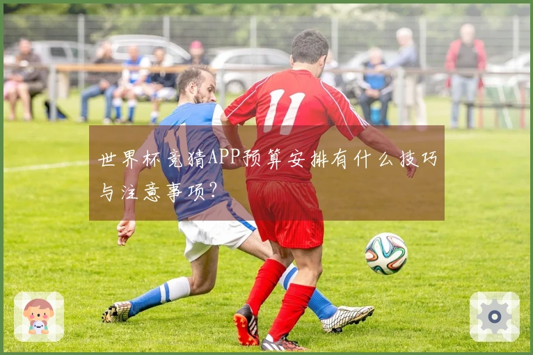 世界杯竞猜APP预算安排有什么技巧与注意事项？