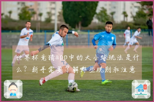 世界杯竞猜app中的大小球玩法是什么？新手需要了解哪些规则和注意事项？