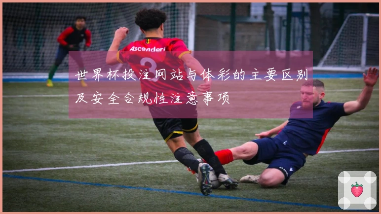 世界杯投注网站与体彩的主要区别及安全合规性注意事项