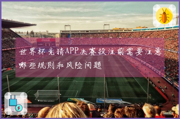 世界杯竞猜APP决赛投注前需要注意哪些规则和风险问题