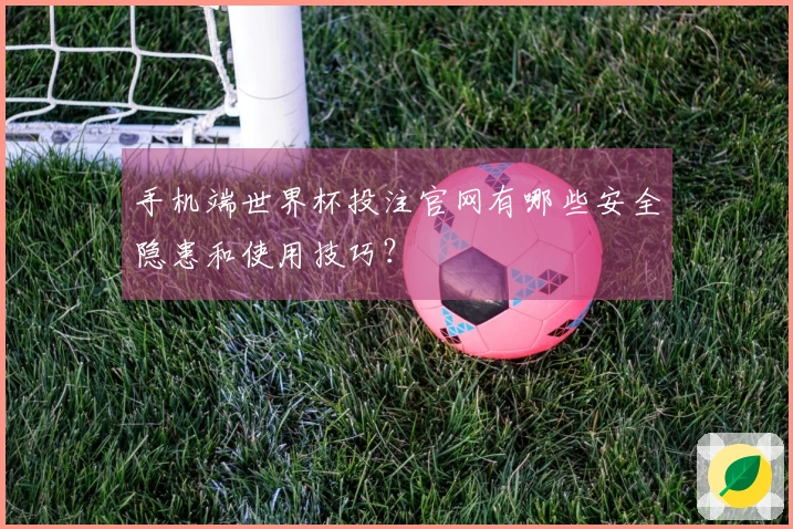 手机端世界杯投注官网有哪些安全隐患和使用技巧？