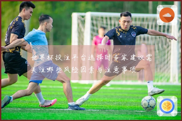 世界杯投注平台选择时专家建议需关注哪些风险因素与注意事项