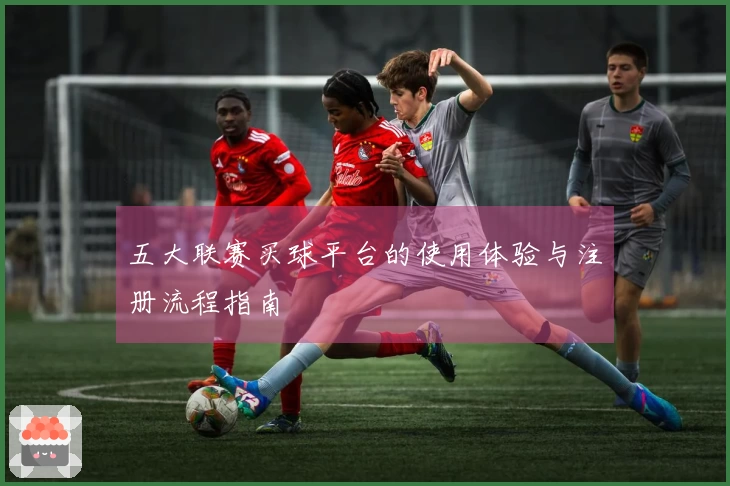 五大联赛买球平台的使用体验与注册流程指南