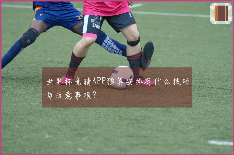 世界杯竞猜APP预算安排有什么技巧与注意事项？